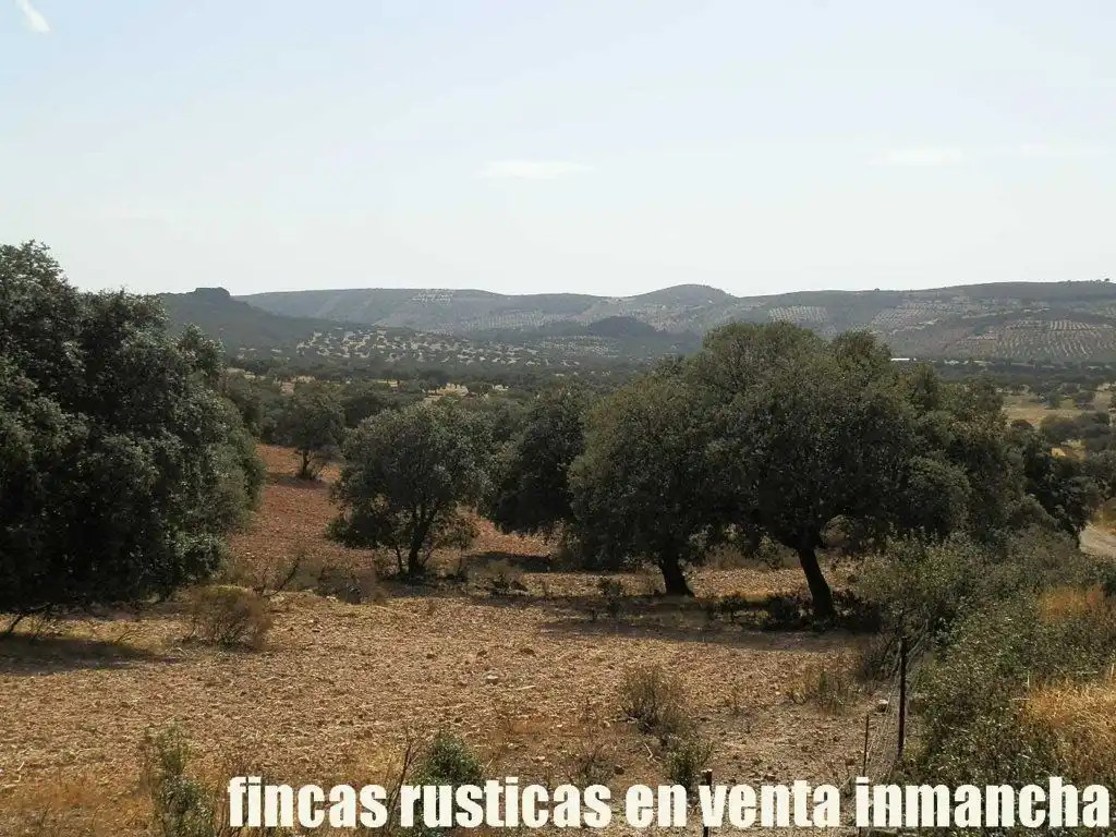 Terreni e lotti in vendita a Peñalsordo, imagen 19