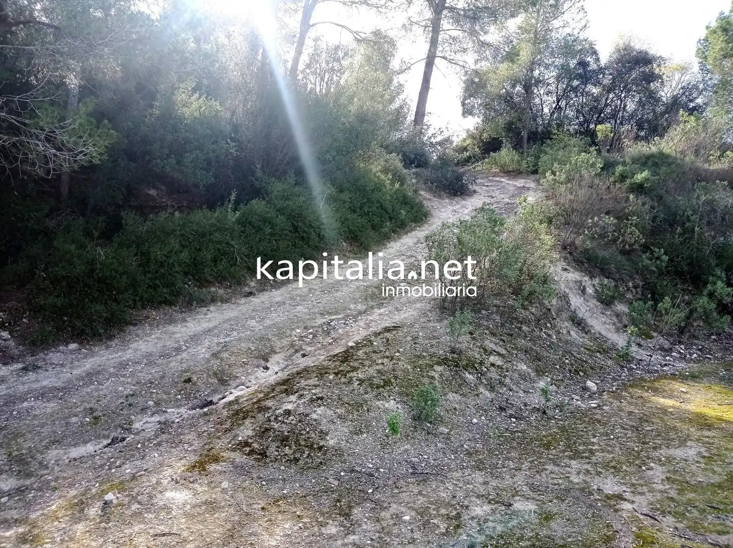 Terreno residenziale in vendita a Agullent, imagen 5
