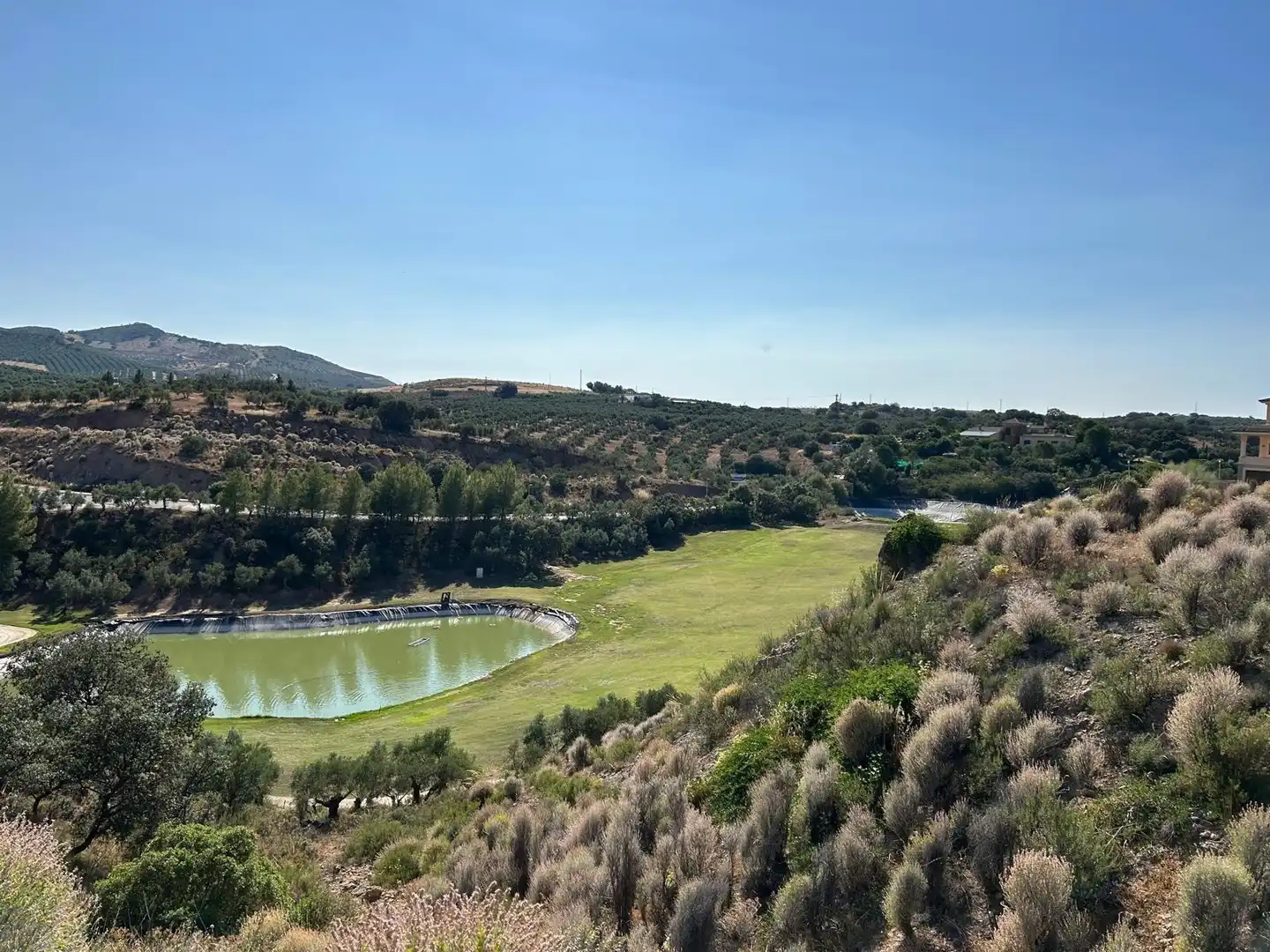 Lands and plots for sale in Centro, imagen 5