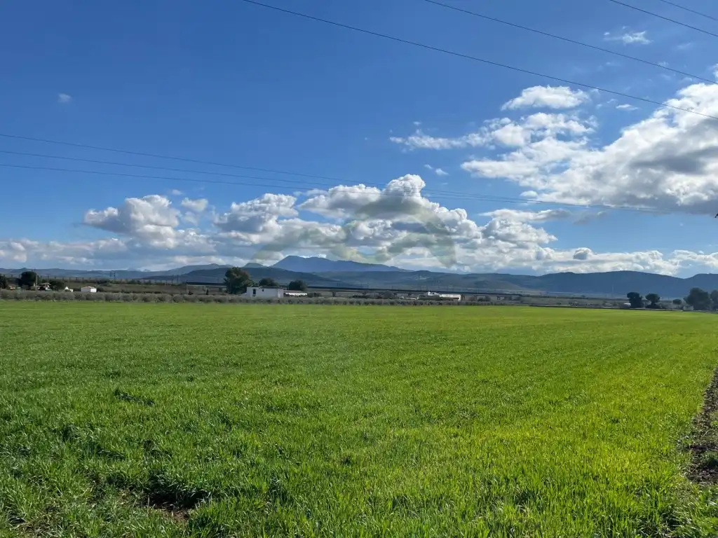 Casa rústica en venta en Bobadilla - Bobadilla Estación - La Joya, imagen 4