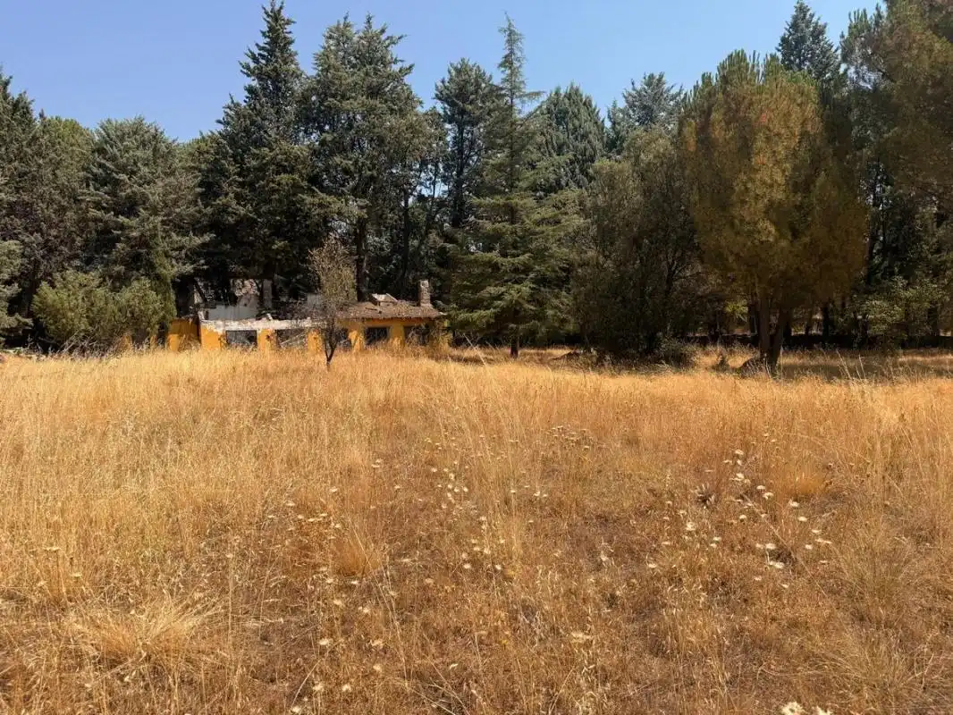 Residential land for sale in Camino de los Barrizales, imagen 9