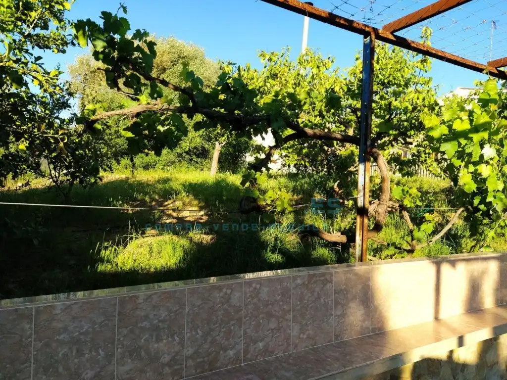 Jardín de Casa o chalet en venta en Catadau con Aire acondicionado, Jardín privado y Terraza