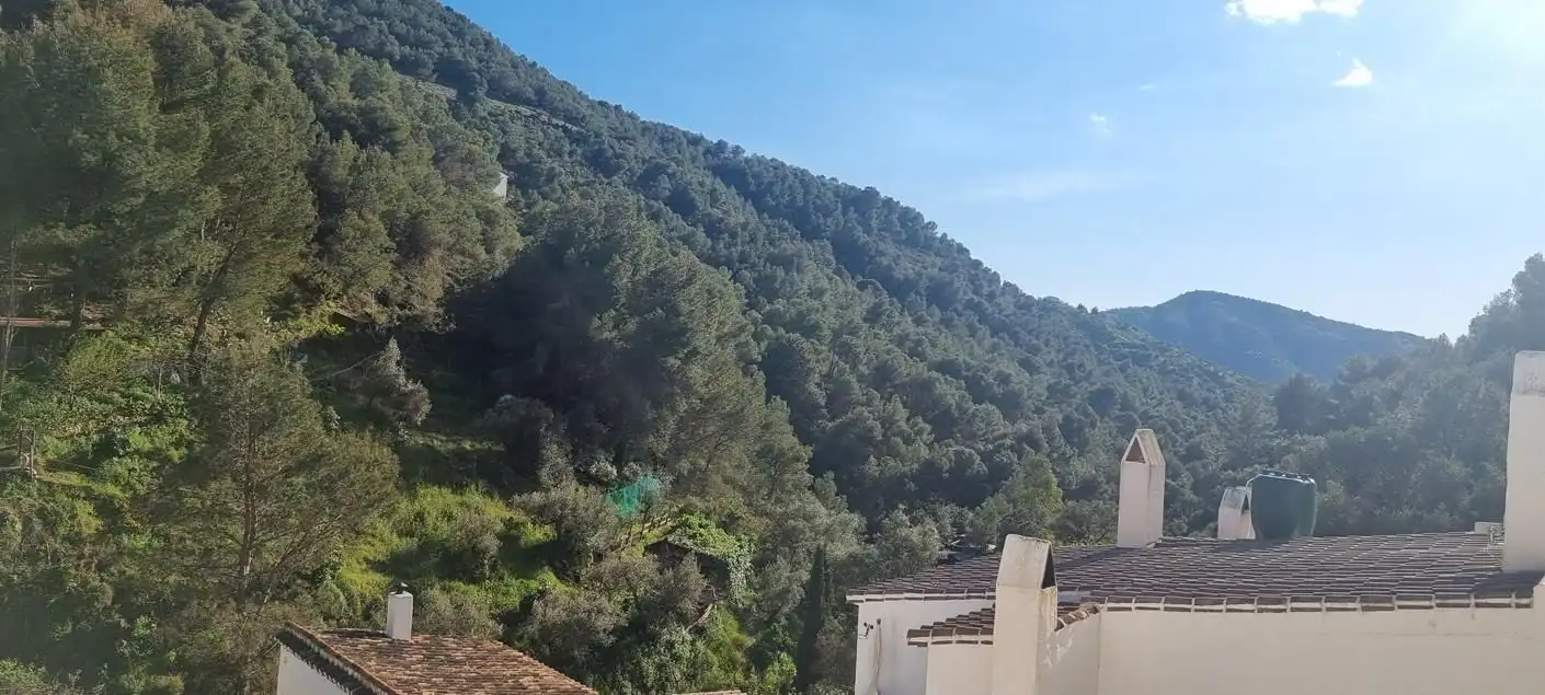 Exterior view of Detached homes for sale in Cómpeta  with Terrace and Swimming Pool