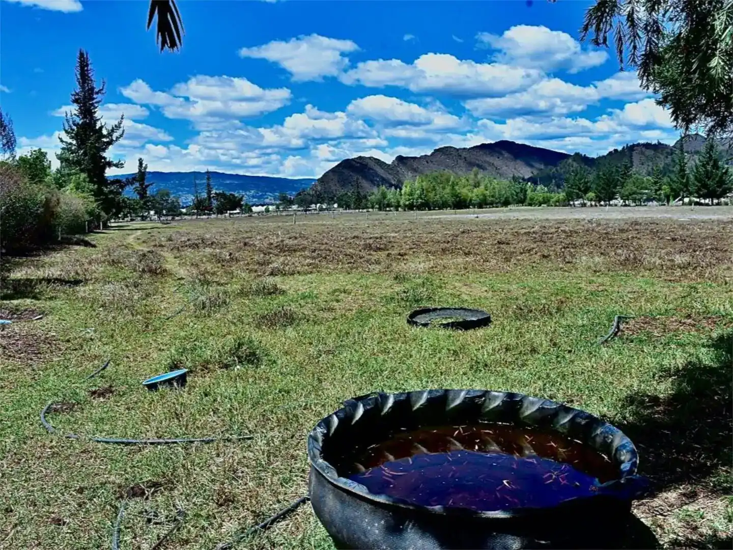 Vista exterior de Finca rústica en venda en Rota amb Traster i Moblat