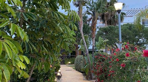 Foto 2 de Pis en venda a Aguadulce - Almadraba - Punta Candor, Cádiz