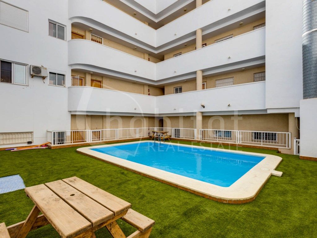 Swimming pool of Apartment to rent in Los Montesinos  with Air Conditioner, Terrace and Furnished