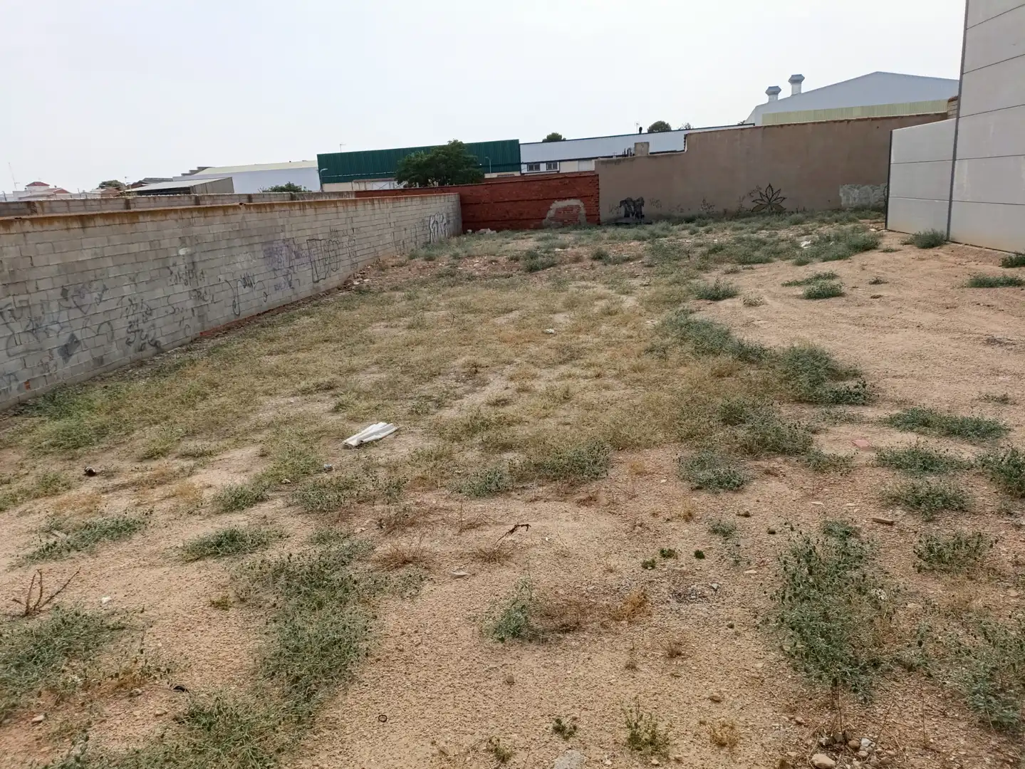 Lands and plots for sale in Tomelloso, imagen 5