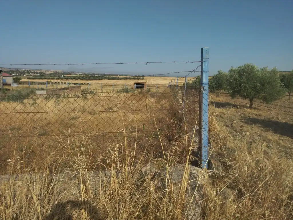 Terreni e lotti in vendita a La Haba, imagen 14