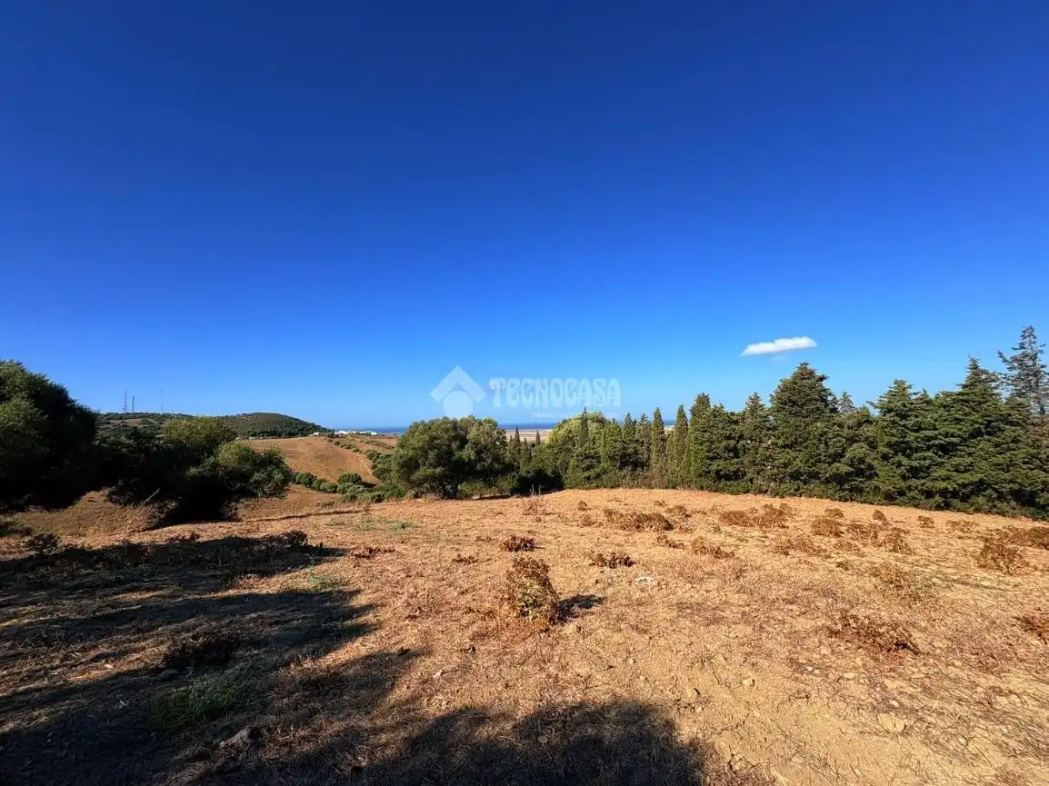 Terreno rustico in vendita a Vejer, imagen 8
