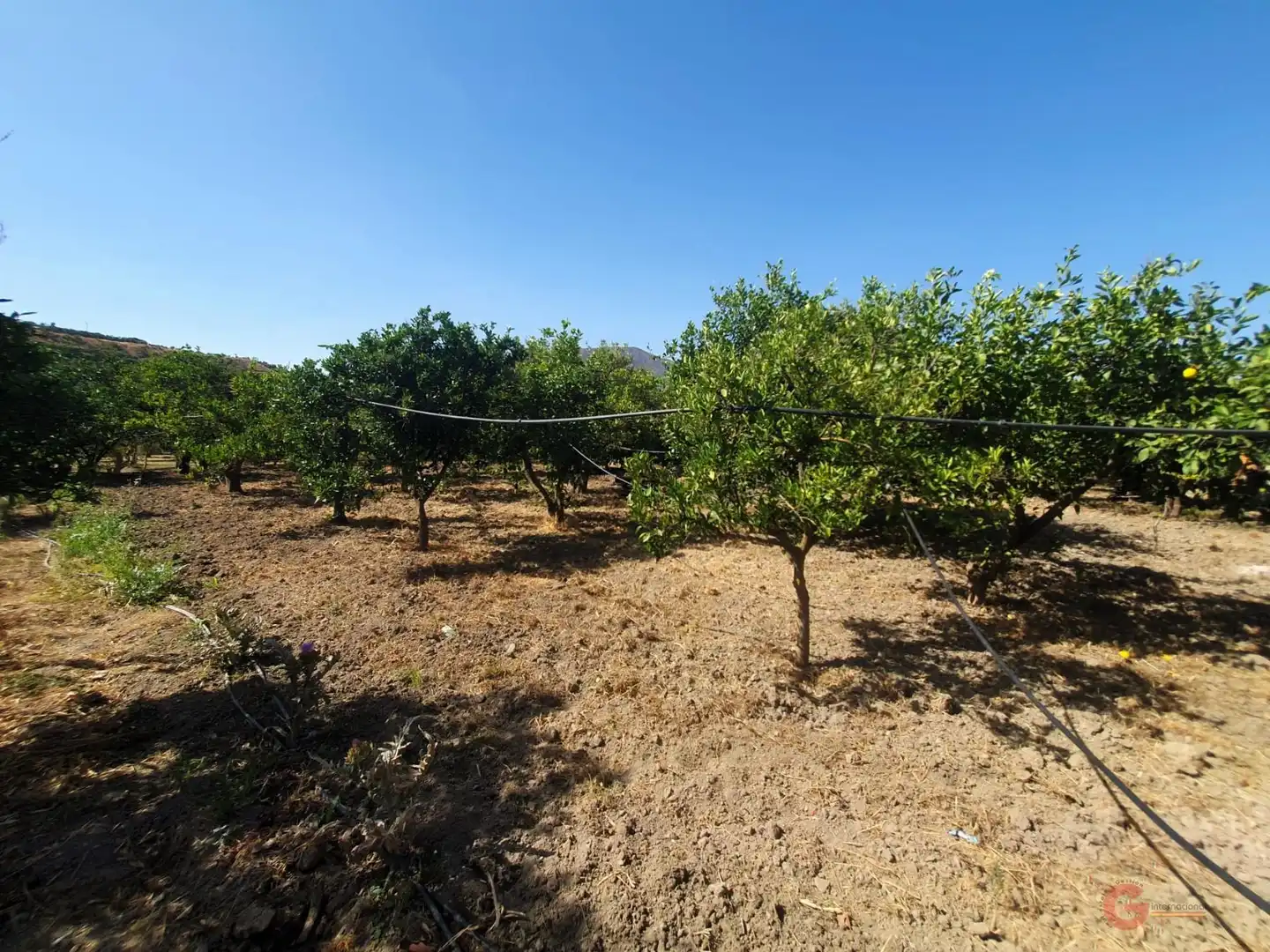 Country house zum Verkauf in El Valle