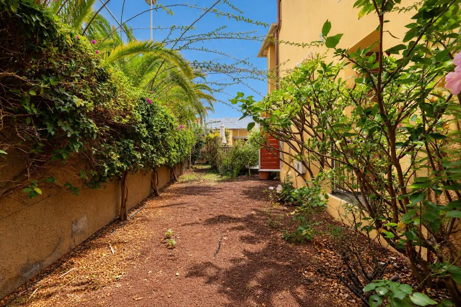 Casa bifamiliare con piscina in affitto a Avenida Avenida Pesqueros, imagen 37