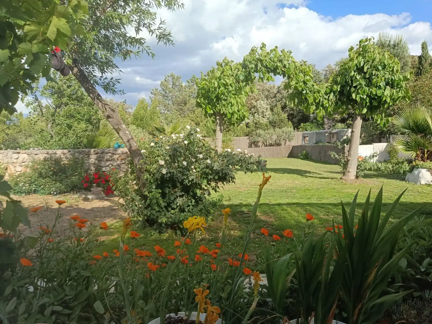 Casa in vendita a Alforja