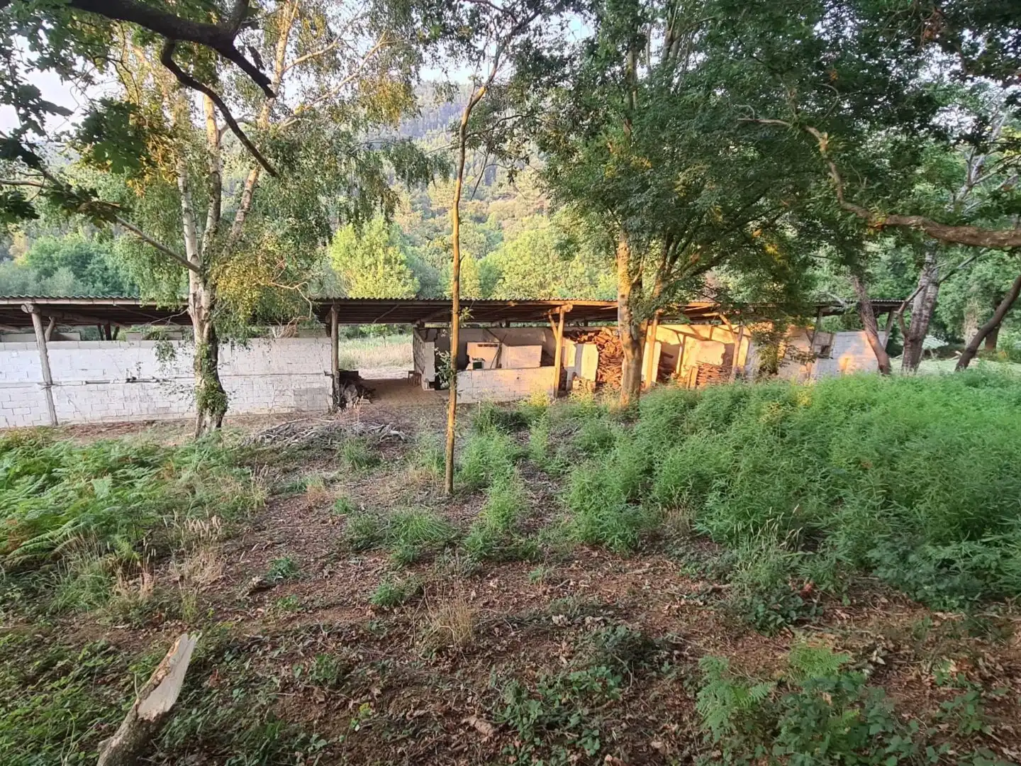 Terreno en venta en Bakio