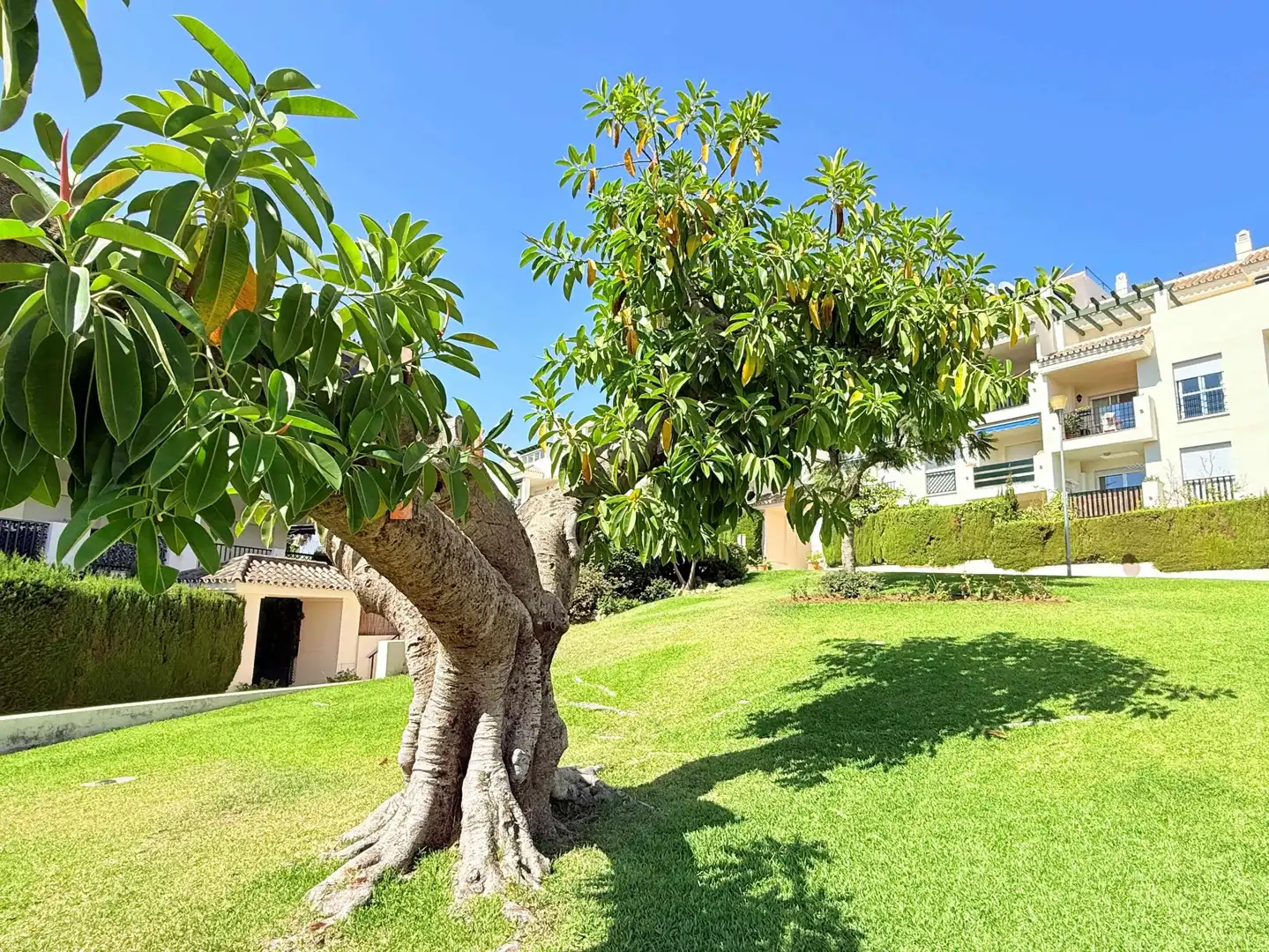 Jardín de Apartamento en venta en Marbella con Aire acondicionado, Trastero y Piscina comunitaria