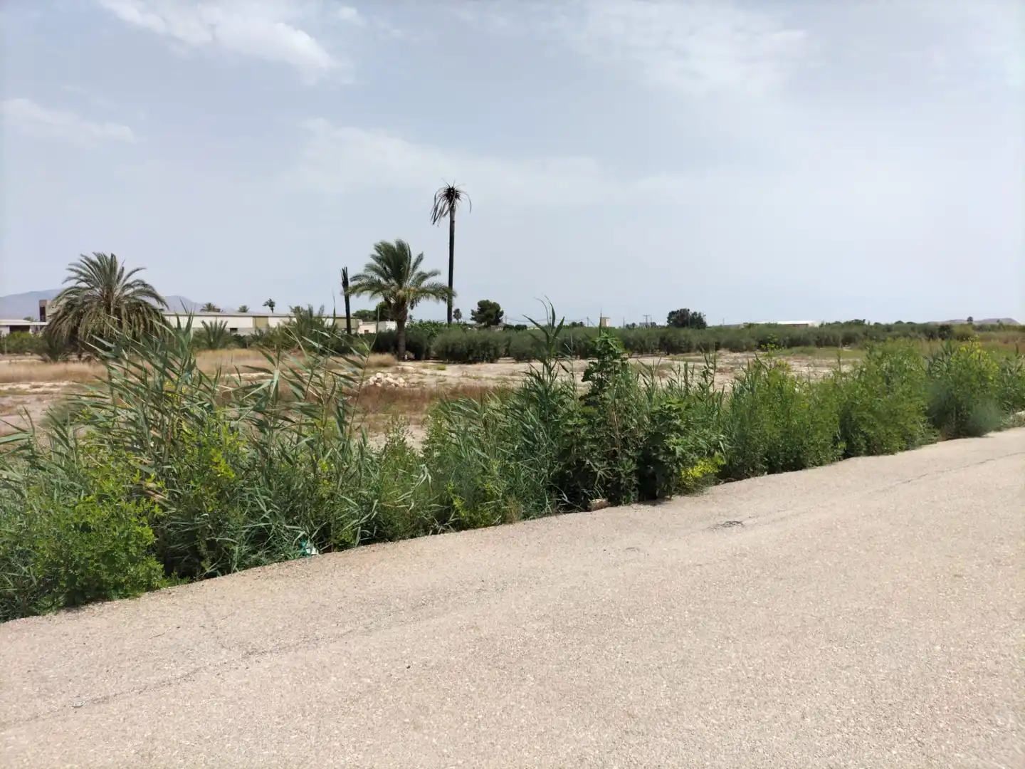 Residential land for sale in Cox, imagen 3