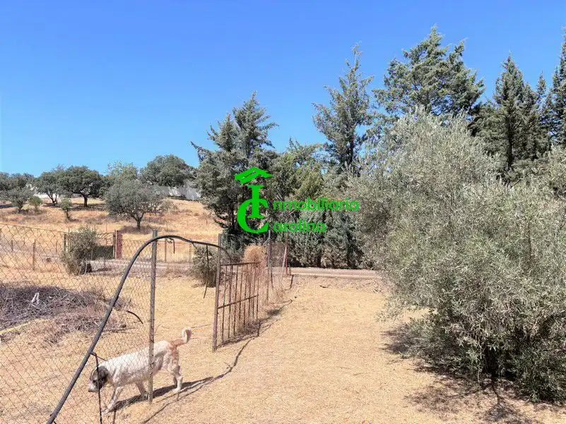 Finca rústica en venda en Santa Elena amb Terrassa