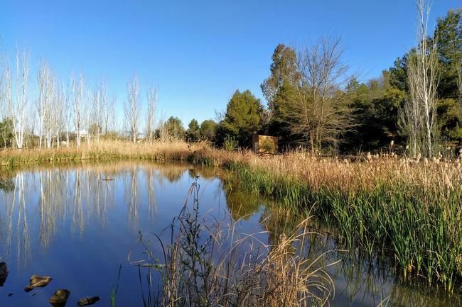 Flat for sale in Linares