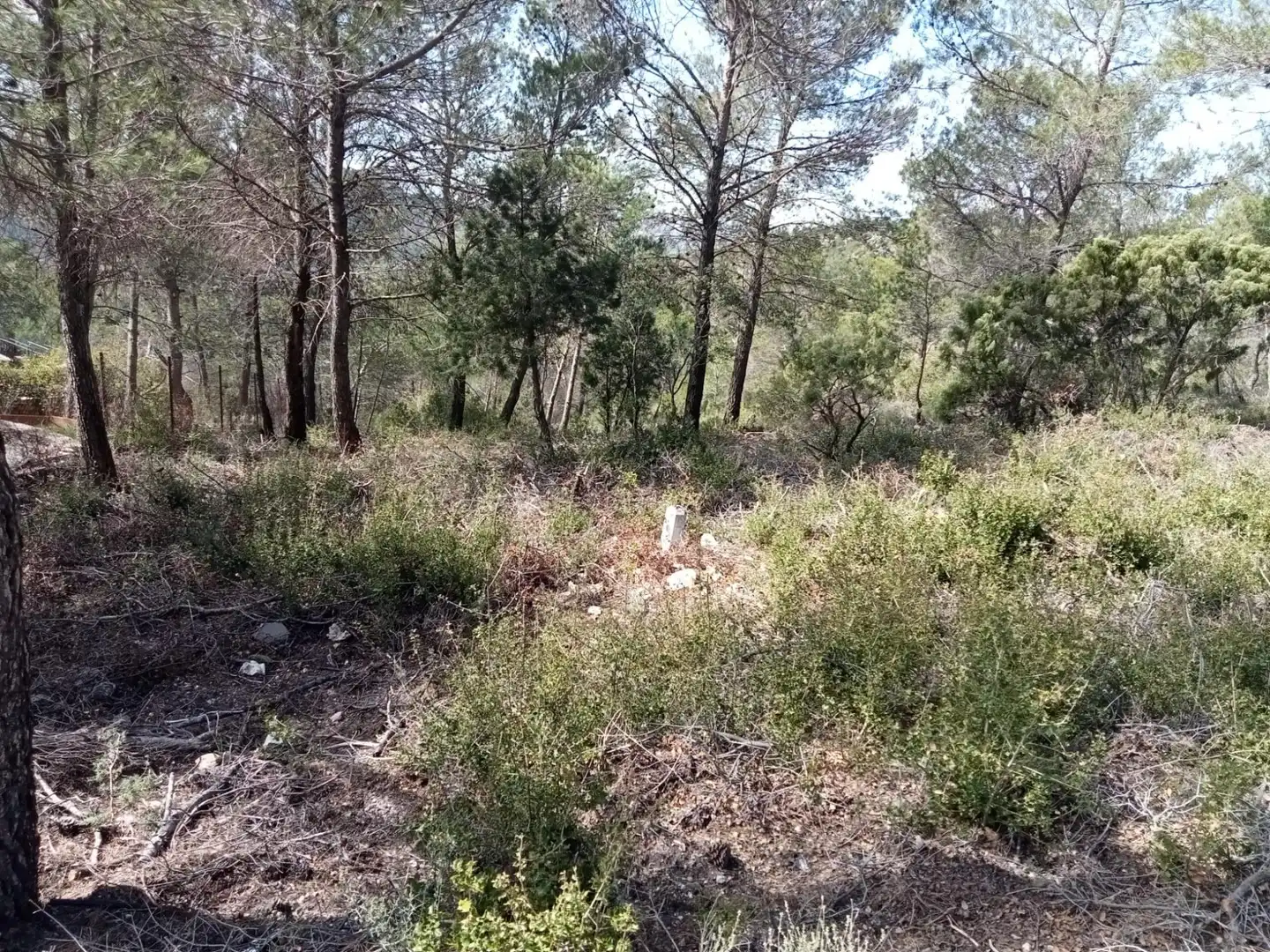 Residential land for sale in Calle Nueva Sierra CT, imagen 4