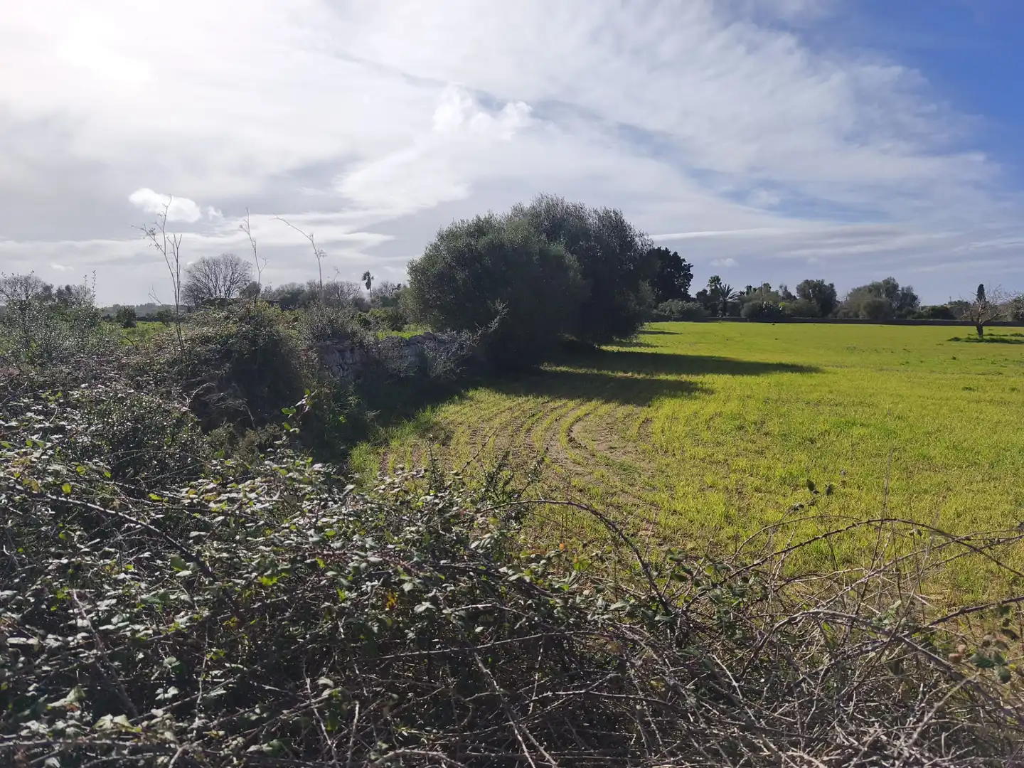Terreno rustico in vendita a Lloret de Vistalegre, imagen 13