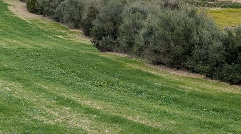 Foto 4 de Terreno en venta en Llubí, Illes Balears