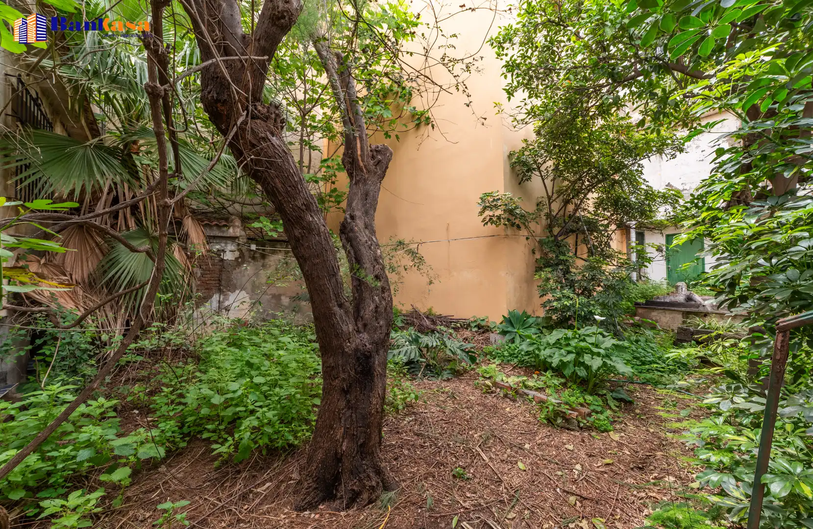 Garden of Residential for sale in Málaga Capital