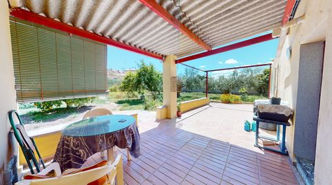 Foto 3 de Finca rústica en venda a Partida Horteta, Centro, Elda