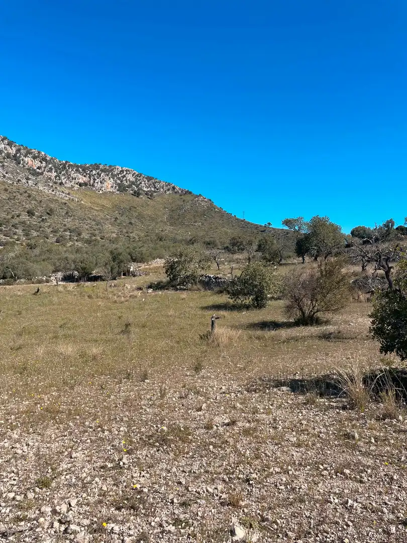Rural land for sale in Sant Llorenç des Cardassar, imagen 9