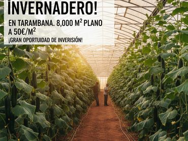 Terreno rustico in vendita a Paraje Tarambana 3