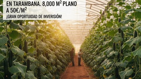 VENTA DE INVERNADERO  PLANO EN TARAMBANA  DE 8000M.