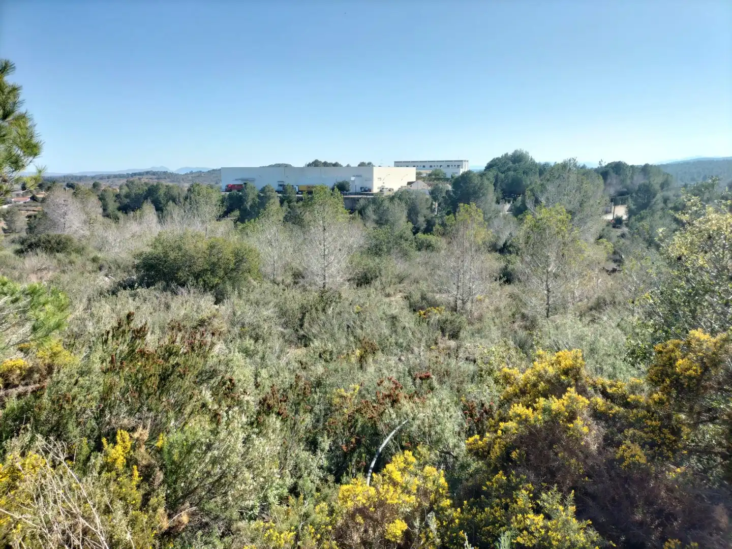 Terreno rustico in vendita a Polígono 9 Parcela 578 EL PORRE. NAVARRES (VALENC, imagen 8