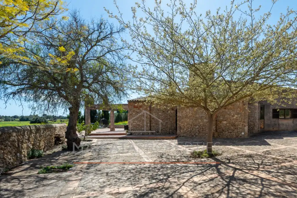 Vista exterior de Finca rústica en venda en Felanitx amb Aire condicionat, Jardí privat i Terrassa