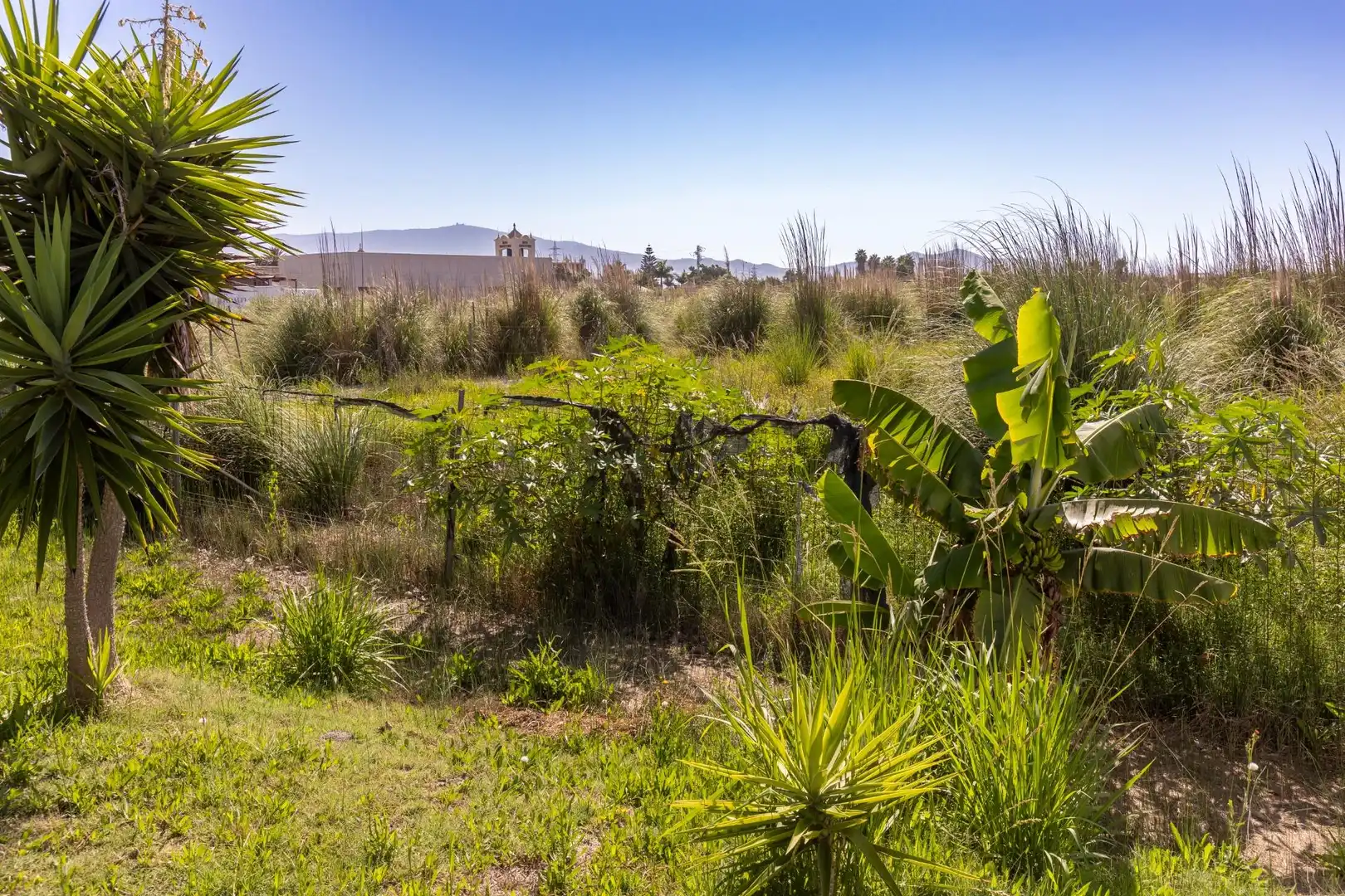 Casa o chalet en venta en Carretera Carretera Celulosa, Playa de Granada