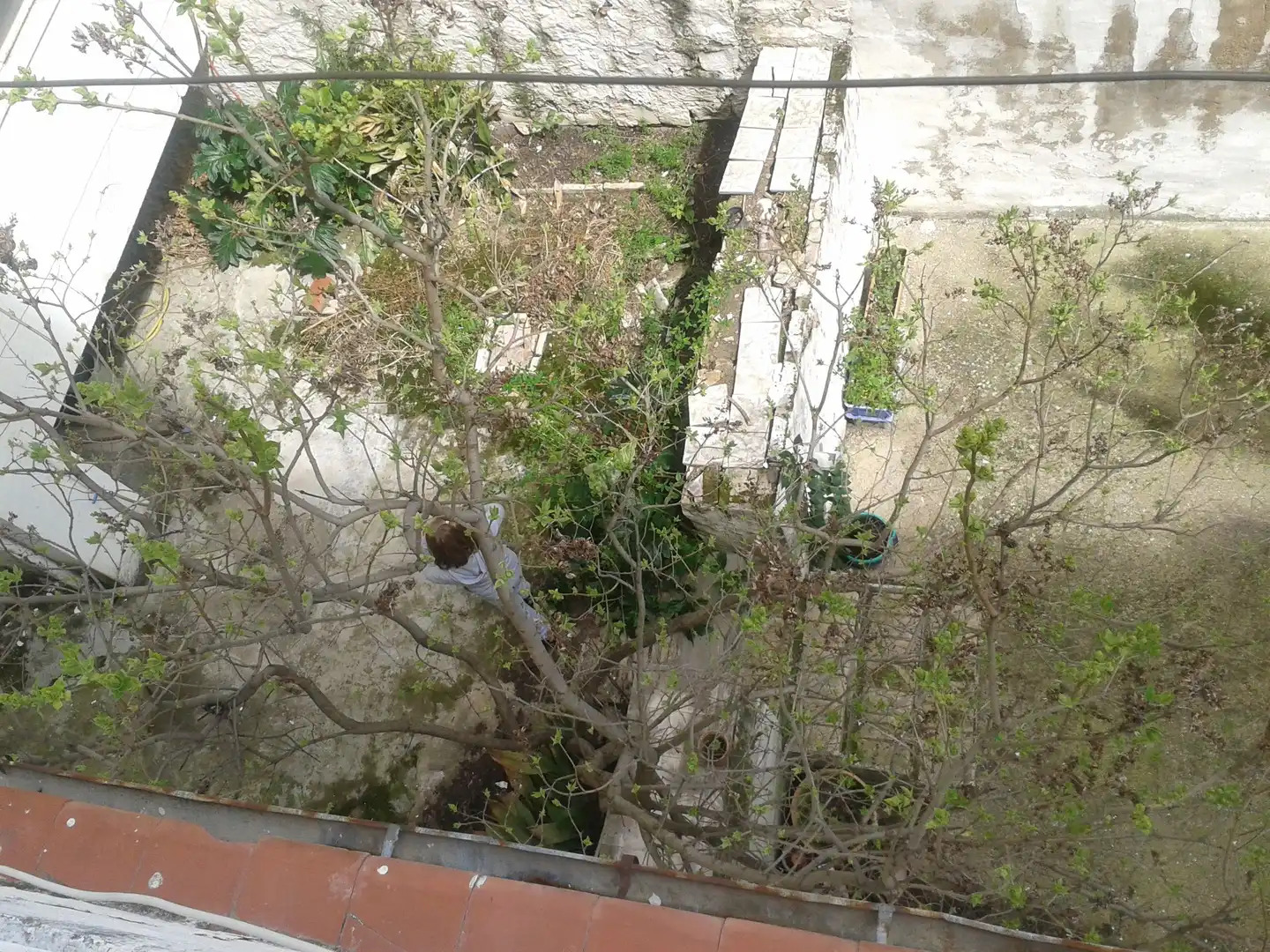 Casa en venta en Úbeda, imagen 3