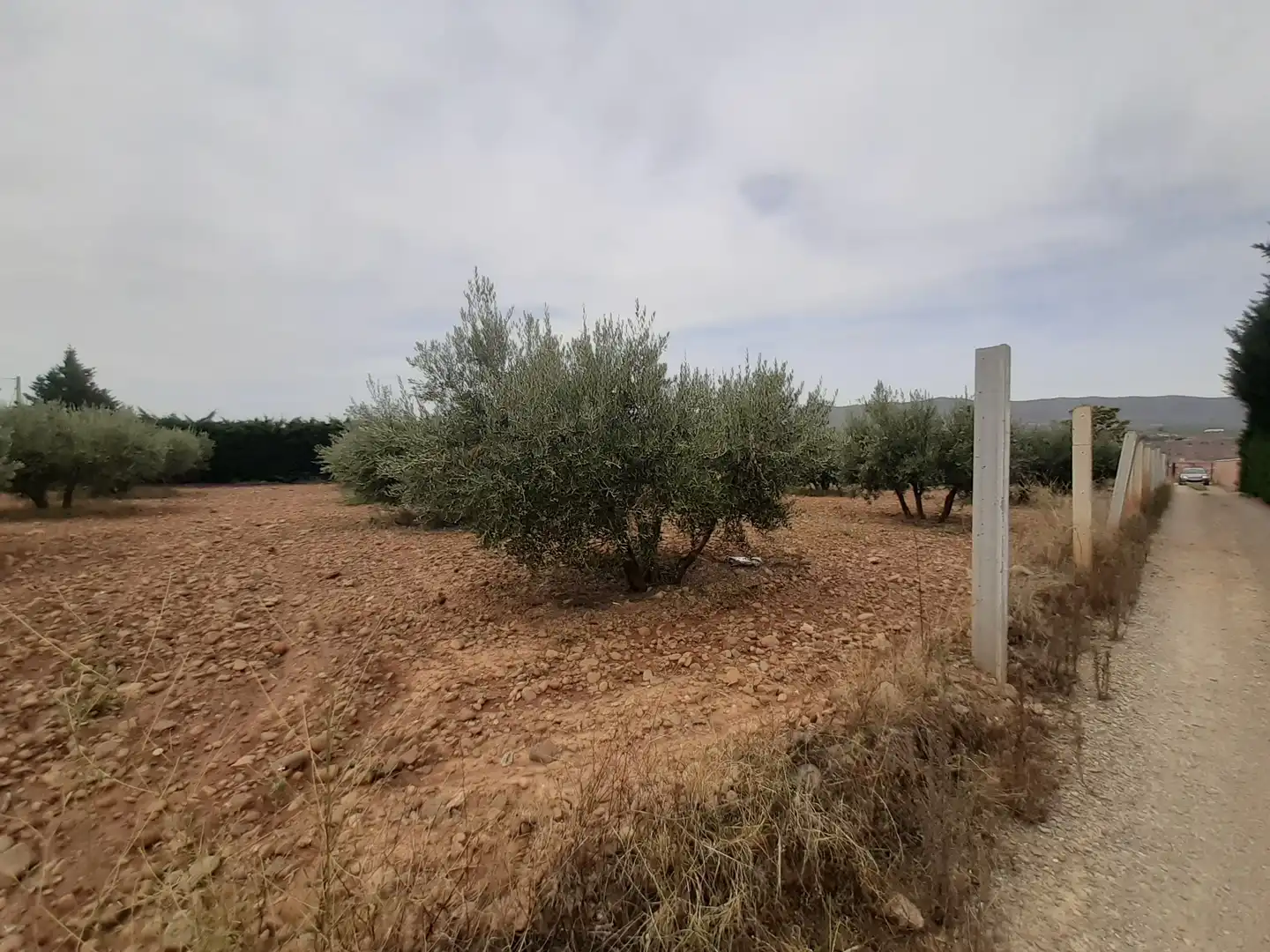 Terrenys i solars en venda a Arnedo, imagen 3