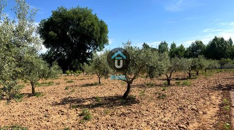 Foto 2 de Terreno en venta en Poligono 13, Calera y Chozas, Toledo