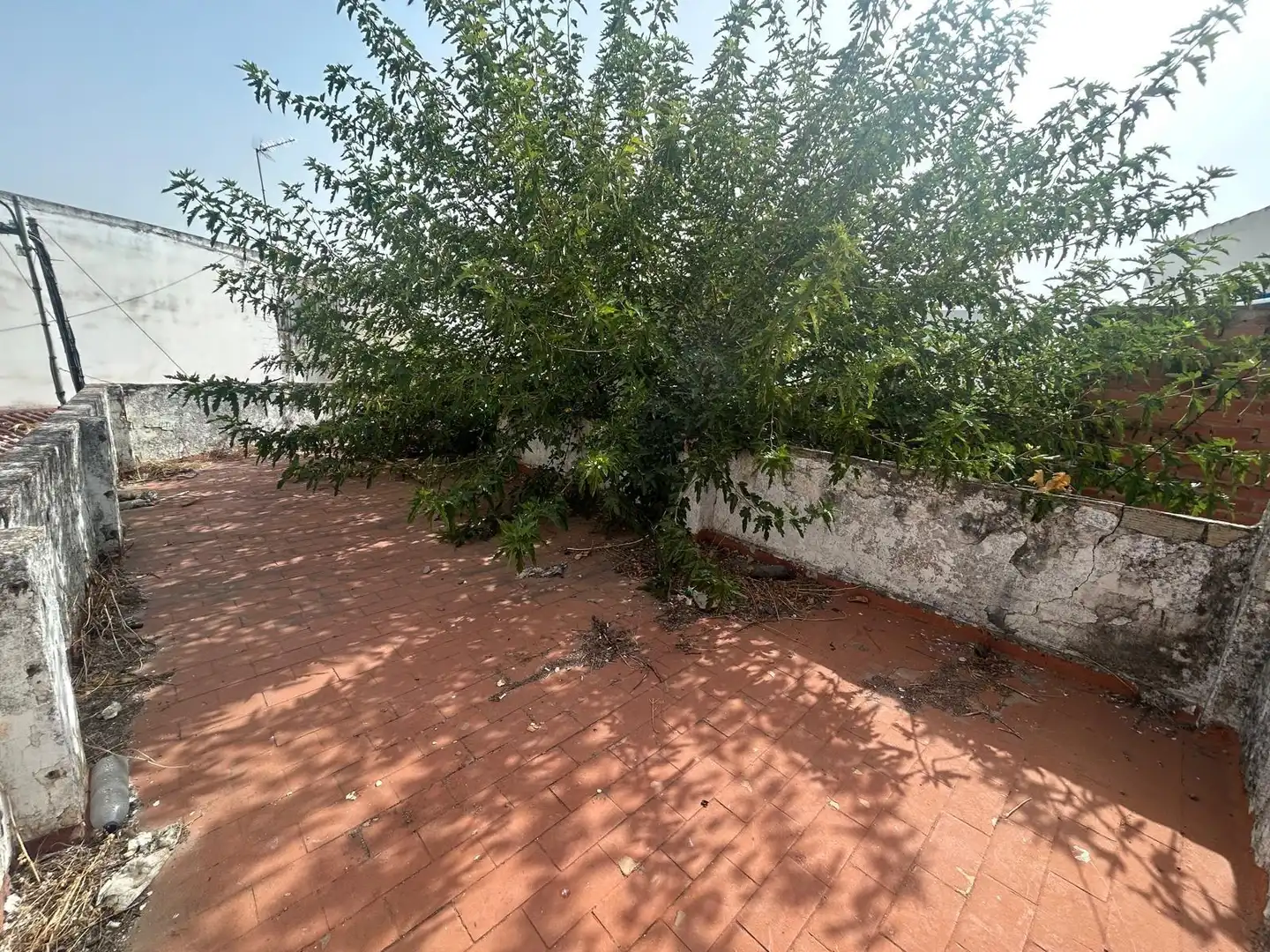 Casa o chalet en venta en Utrera
