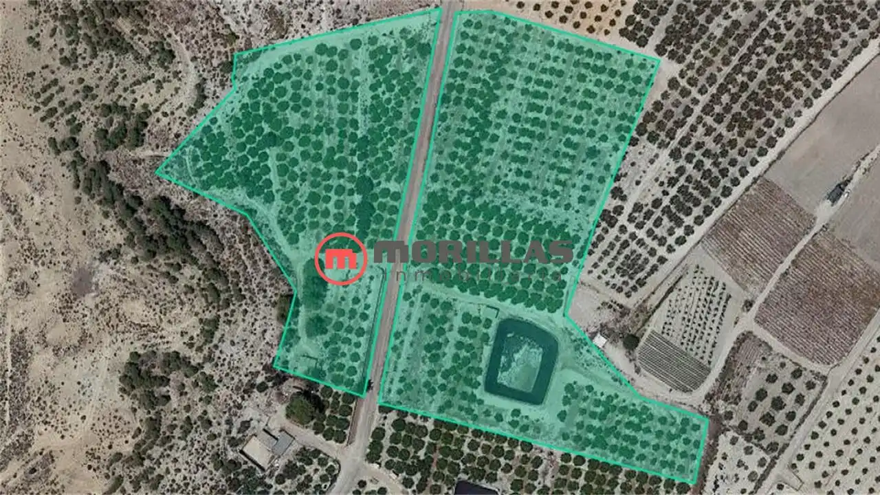 Lands and plots for sale in Carretera de Abanilla 25