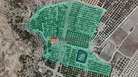 Finca de Regadío con Construcciones