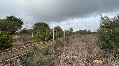 Foto 4 de Residencial en venda a Pòrtol, Marratxí