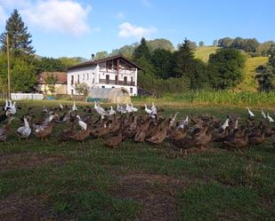 Jardí de Àtic de lloguer en Bidania-Goiatz amb Calefacció, Jardí privat i Terrassa