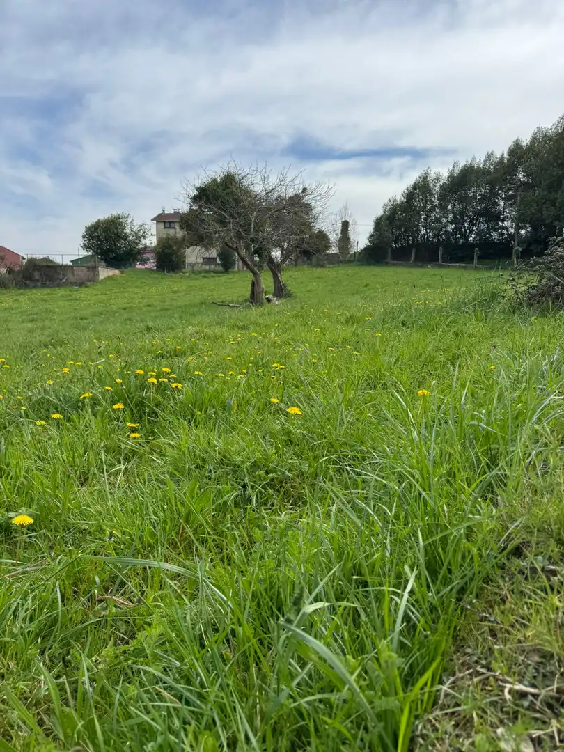 Residencial en venda a San Miguel - CAMÍN DE LOS LLOREOS, El Berrón - La Carrera