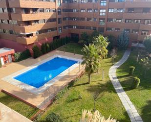 Swimming pool of Flat to rent in  Granada Capital