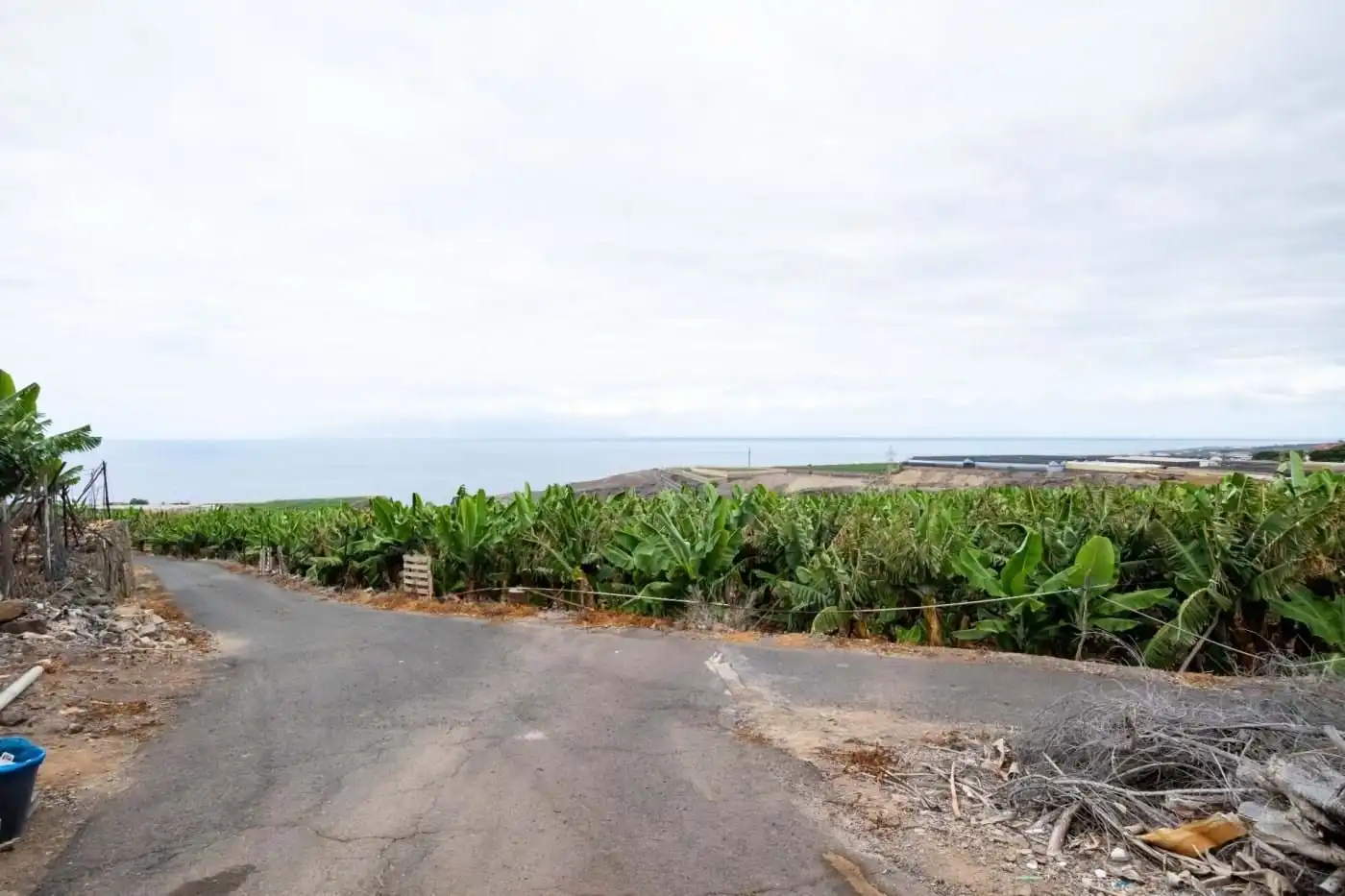 Exterior view of Country homes for sale in Adeje
