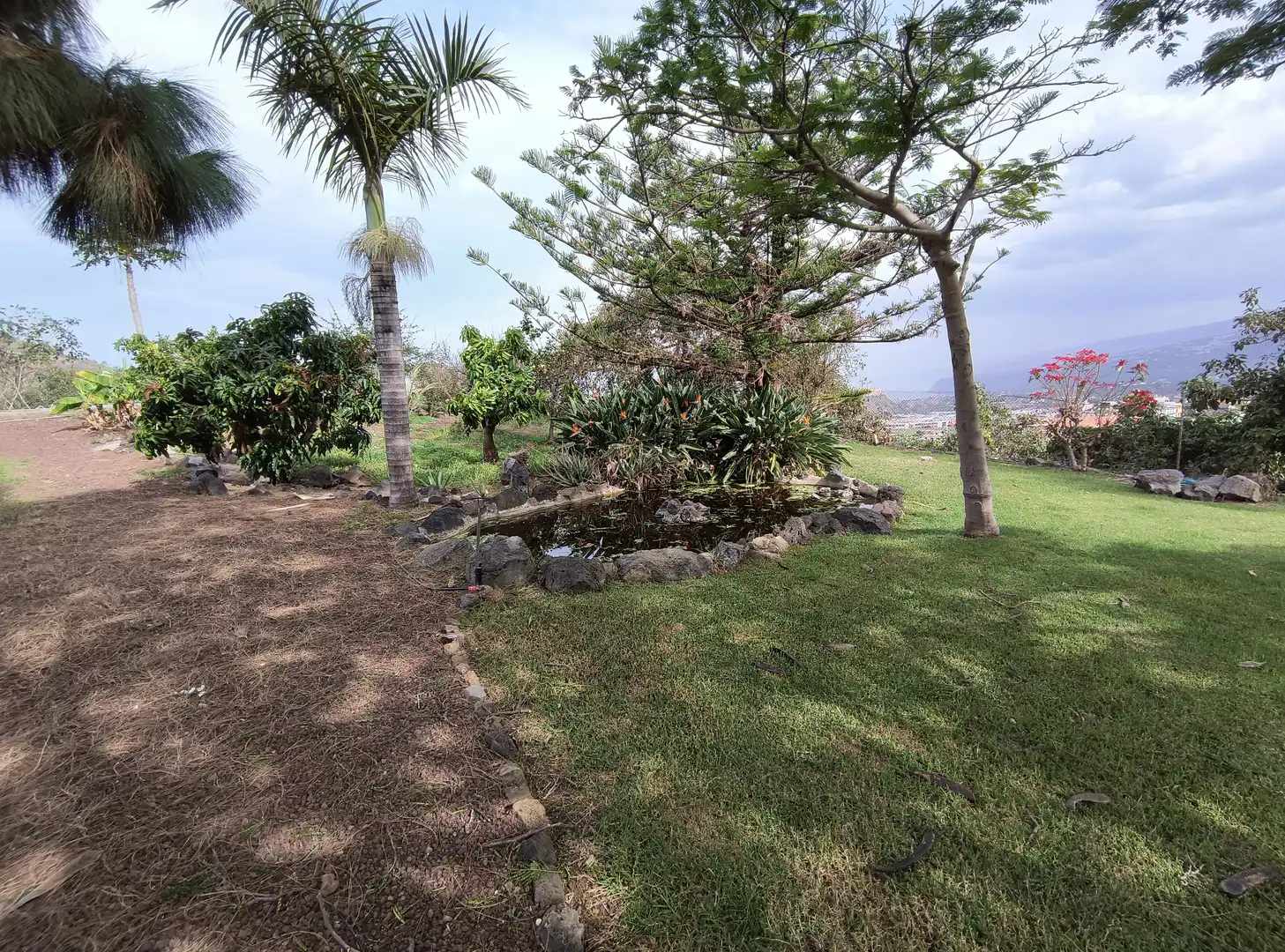 Jardín de Casa o chalet en venta en La Orotava con Jardín privado, Parquet y Terraza