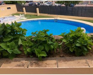 Swimming pool of Flat for sale in Jerez de la Frontera  with Swimming Pool, Furnished and Community pool