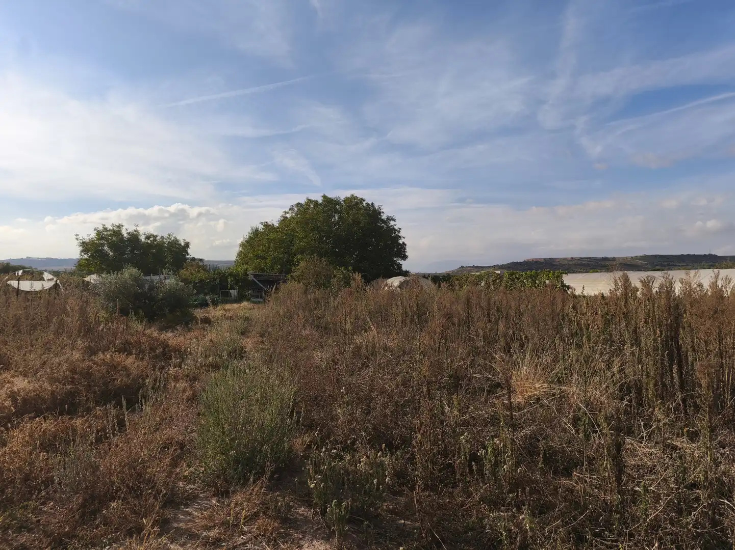 Land for sale in  Logroño