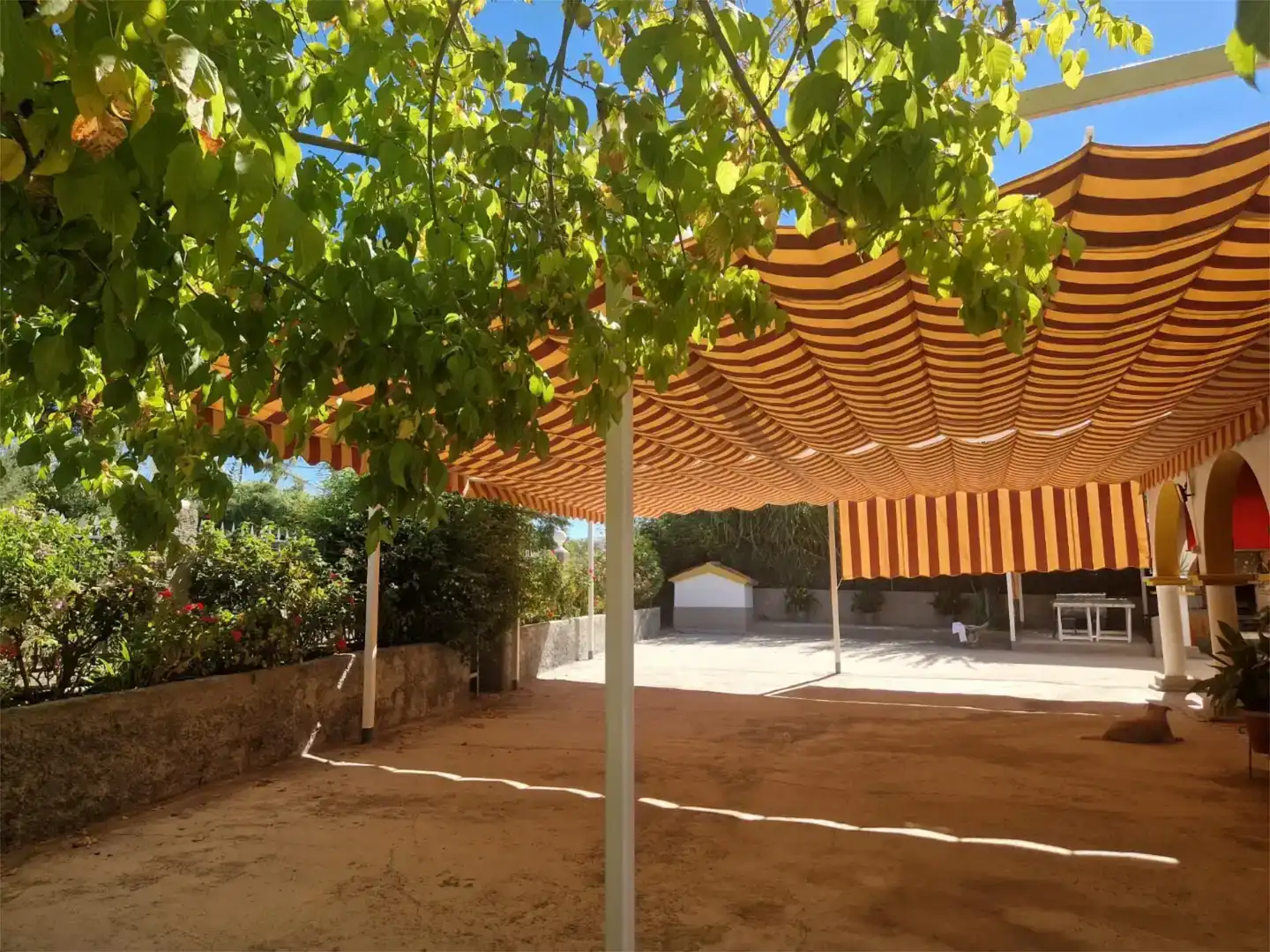 Terrassa de Finca rústica en venda en Andújar amb Aire condicionat, Piscina i Balcó
