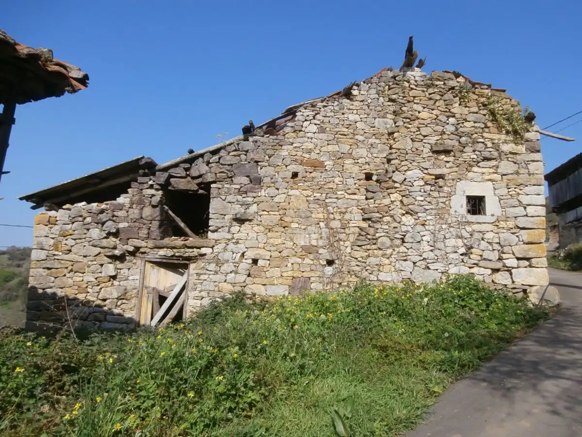 Maison à vendre à Grado, imagen 6