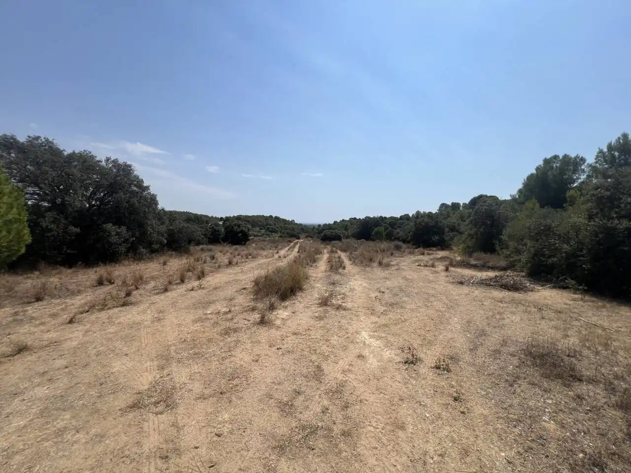 Rural land for sale in Camino Aleixar 15, imagen 2