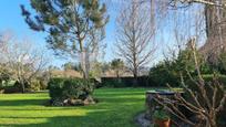 Garden of House or chalet for sale in Tomiño  with Terrace